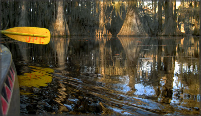 Caddo Lake canoe cruise